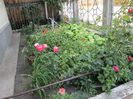 IMG_0053