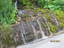 IMG_6610