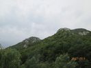 IMG_6631