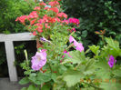 DSCN0980