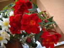 DSCN0982