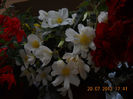 DSCN0983