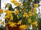 DSCN0985