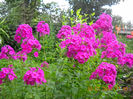 DSCN0986