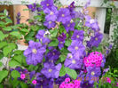 DSCN0987
