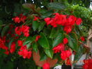 DSCN0997