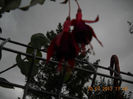 DSCN0998