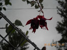 DSCN0999