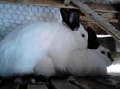 IMG_20130626_114118