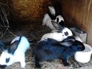 IMG_20130727_105546