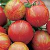Tomate Tigerella