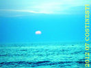 2012 07 MARE  (143)