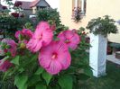 20130729_063552