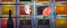 38 - Voltaj - Pic pic
