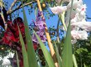 DSC00080