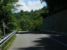 DSCN6981