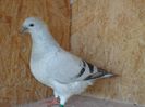 DSC03390
