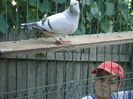 DSC03440
