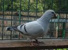 DSC03441
