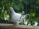 DSC03461