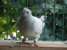 DSC03463