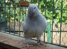 DSC03476