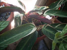 DSCN3354[1]