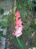DSC05034