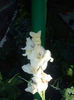 DSC05037