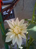 DSC05049