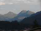 IMG_4474