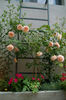 Abraham Darby val2