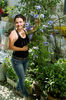 Plumbago Thailanda