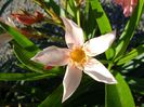 DSC00728