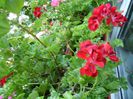 PICT0067