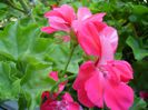 PICT0071