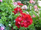 PICT0074