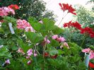 PICT0075