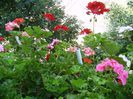 PICT0076