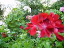 PICT0077