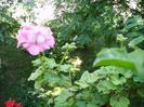 PICT0078