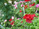 PICT0079