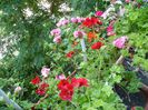 PICT0082
