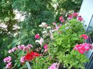 PICT0083