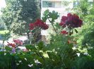 PICT0085
