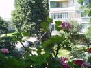 PICT0087