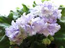 DSC01943