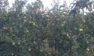 IMAG0728