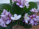 DSC01949