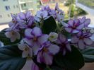 DSC01951
